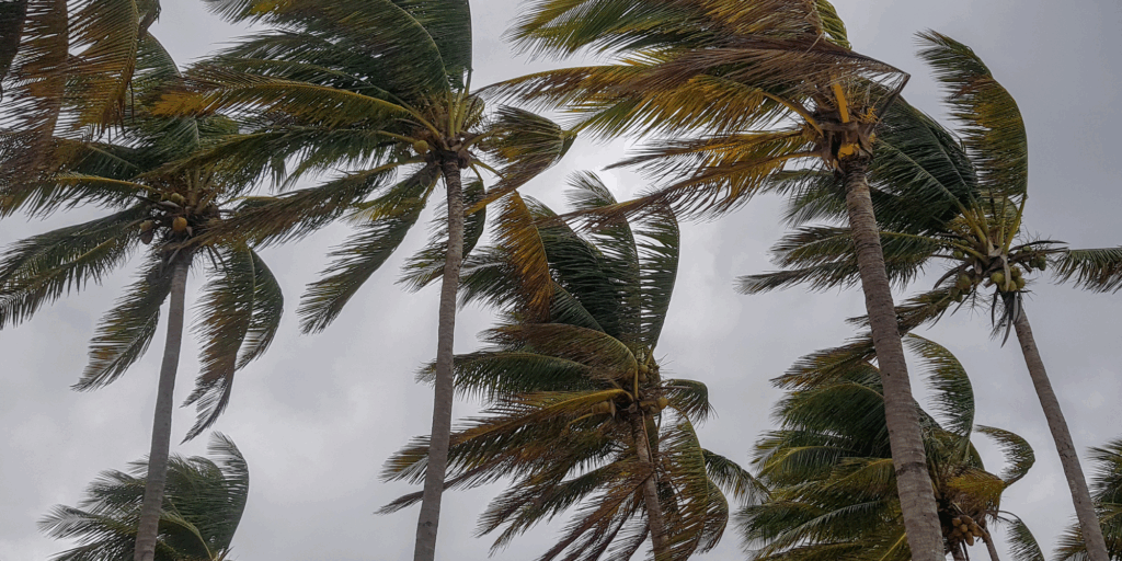 台風で太陽光パネルは飛ばされる？