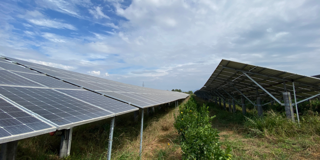 ソーラーシェアリング（営農型太陽光発電）とは？2025年最新の補助金と導入メリットを解説